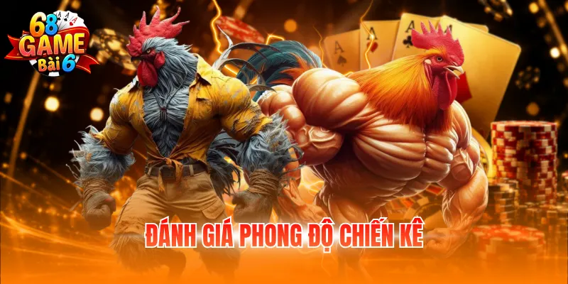 Đánh giá phong độ chiến kê