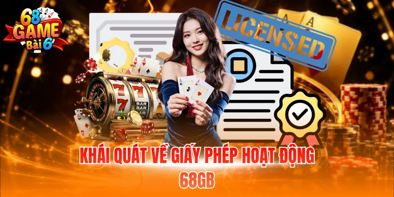 Khái quát về giấy phép hoạt động 68GB