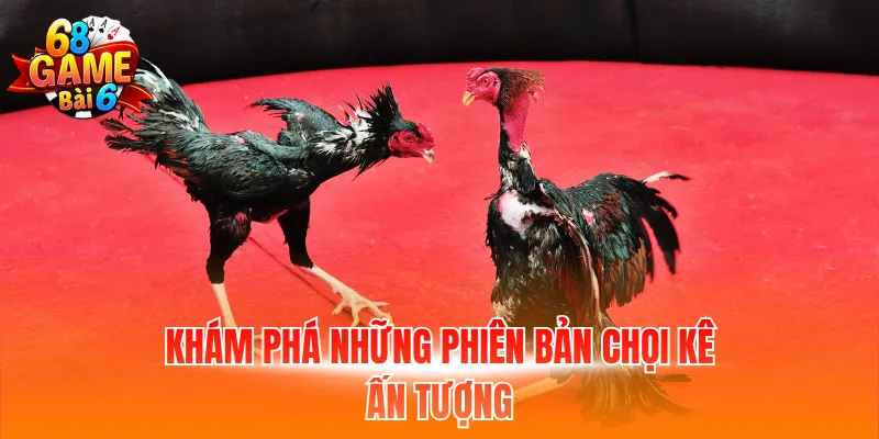 Khám phá những phiên bản chọi kê ấn tượng