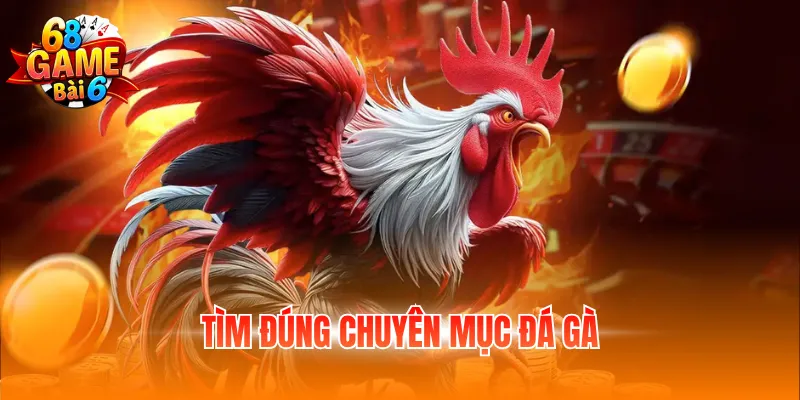 Tìm đúng chuyên mục đá gà
